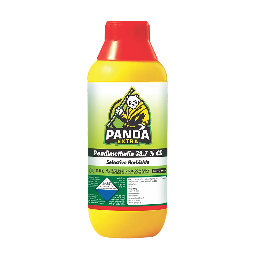 PANDA EXTRA